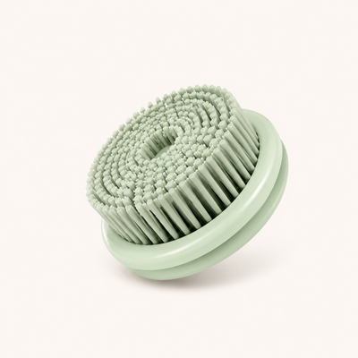 BROSSE LONGUE