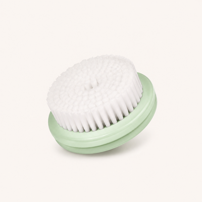 BROSSE COURTE